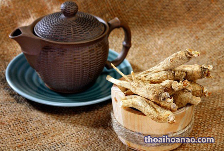 Các loại sâm