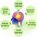 #7 Nguyên nhân rối loạn tiền đình đừng chủ quan kẻo hối hận