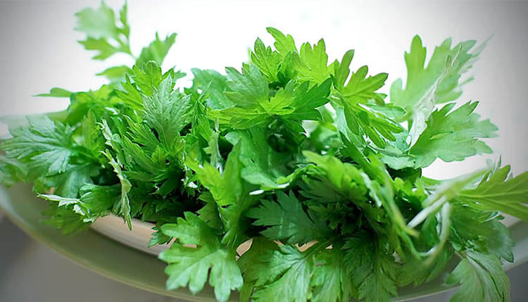 Lá ngải cứu hỗ trợ giảm đau đầu