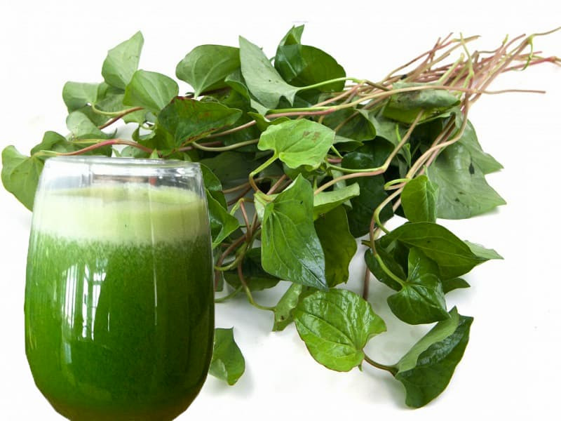 Nước ép rau diếp cá thư giãn tự nhiên cho giấc ngủ sâu