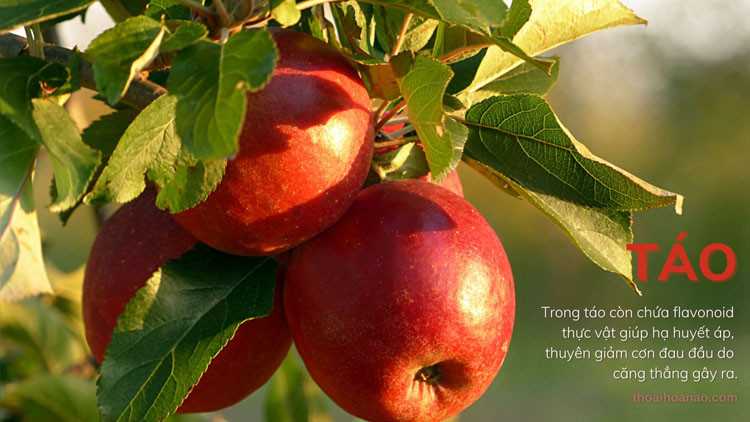 Nước ép táo mang lại lợi ích lớn cho sức khỏe và giảm đau đầu