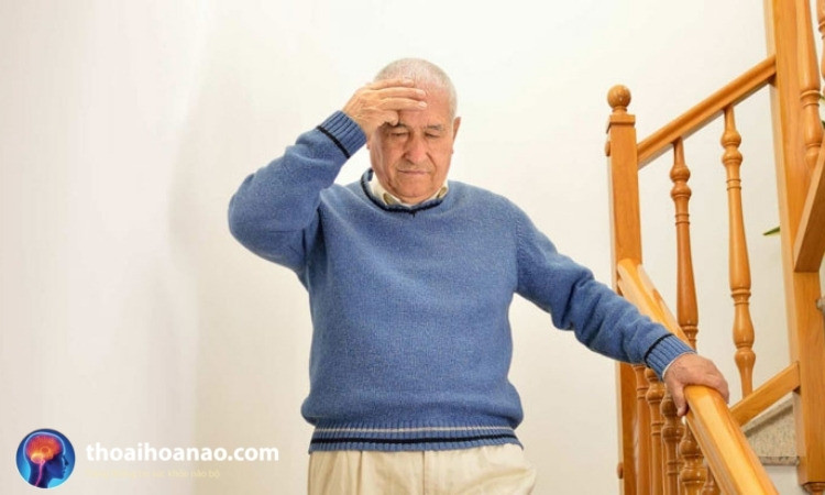 Rối Loạn Tiền Đình Và Nguy Hiểm Biến Chứng