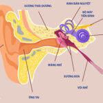Hoa mắt chóng mặt là bệnh gì? Khắc phục như thế nào?