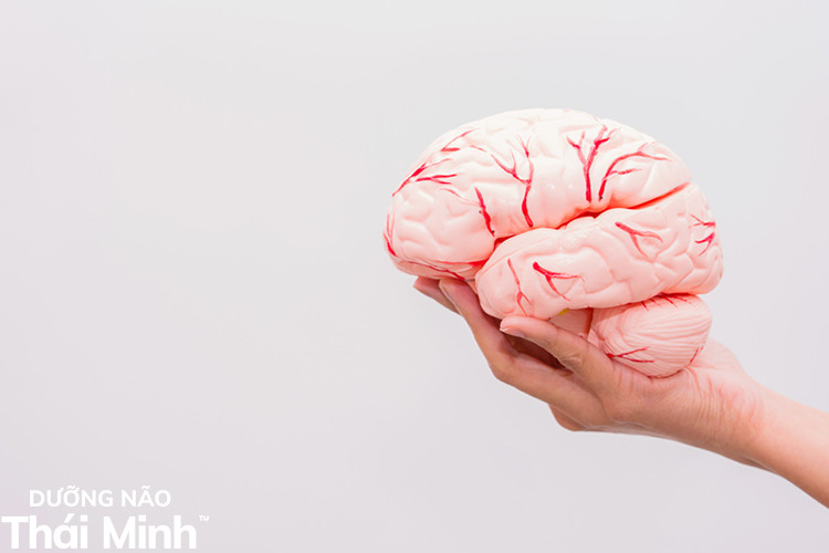 Thiếu máu lên não là yếu tố nguy cơ cao