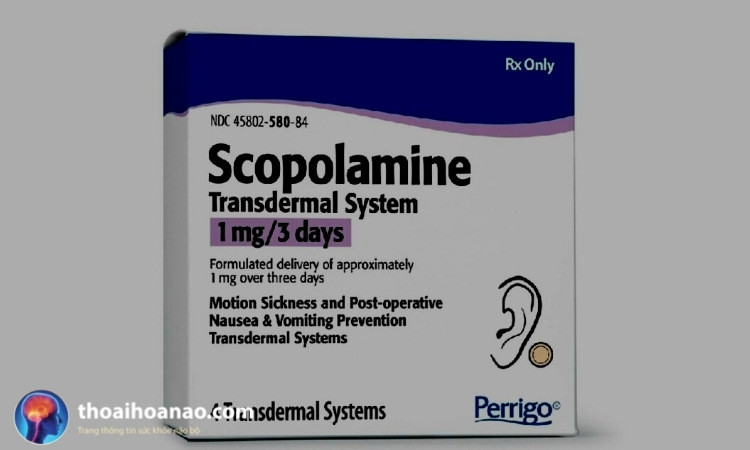 Thuốc kháng histamine giúp giảm chóng mặt hiệu quả