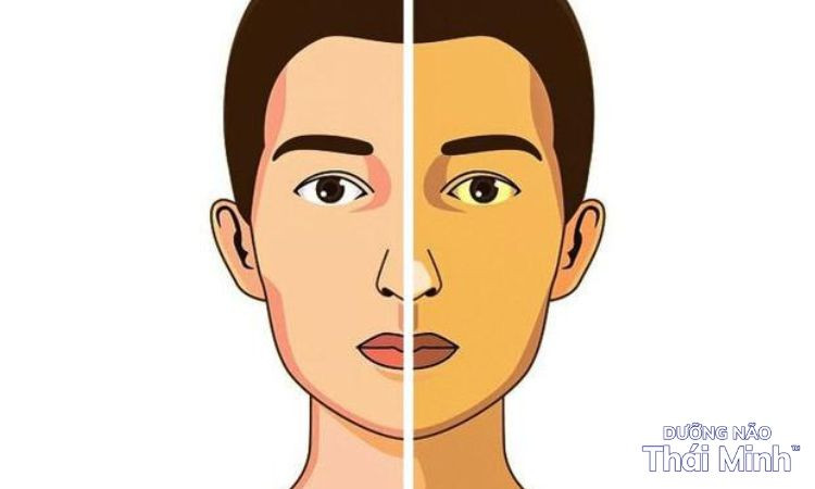 Vitamin nhóm B cải thiện chức năng não và chất lượng giấc ngủ